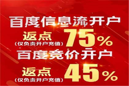 网络推广与竞价优化成功案例